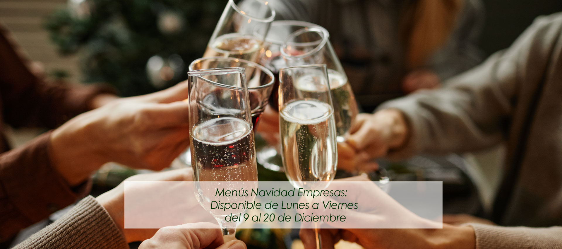 Restaurante Los Cedros | Cenas para empresas de navidad en Madrid